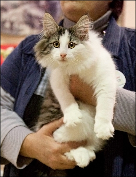 Eden de Talmanis 4.jpg - Eden de Talmanis